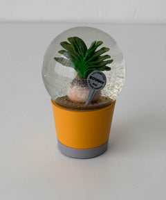 PLANTS WATER GLOBE BOOPHANE/プランツウォーターグローブブーファン/NB-0676/003